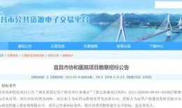 宜昌最新的爆料,揭秘神秘事件背后的真相